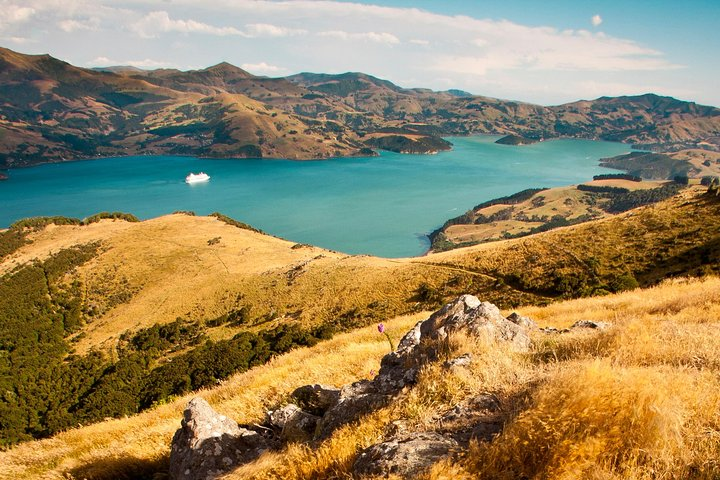 Akaroa Harbour with a cruise ship at anchor....passengers are tendered over to the village on the right of the photo